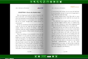 Beispiel Bildschirmfoto eines Flip Books 