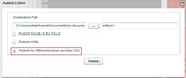 Publish options 