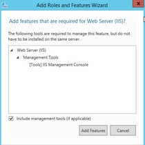 Add IIS