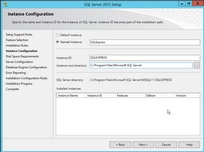 Instance Name 