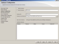 Instance Name 